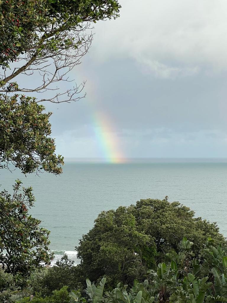 Albatross Guesthouse Southbroom Bagian luar foto